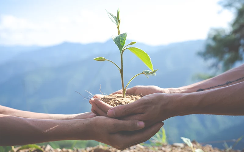 Environmental Policy